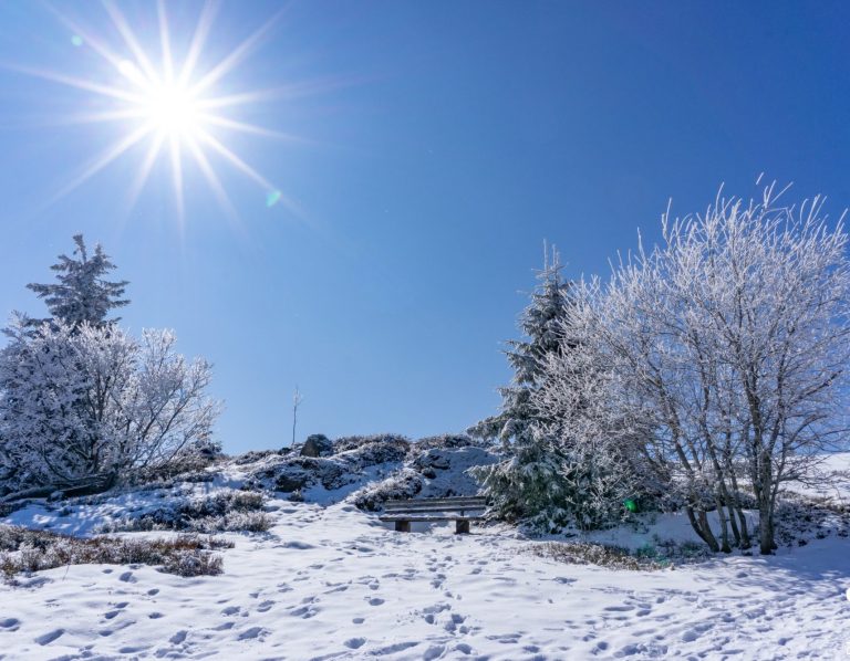 Sonniger Wintertag mit schneebedecktem Boden und frostigen Bäumen.